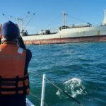 Prefectura argentina sancionó a buque por operar en las Malvinas